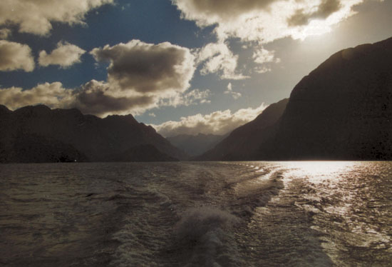 Nz0012