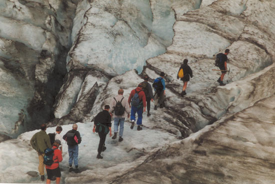 Nz0015a