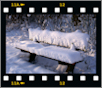 Sneeuwfoto's 2009